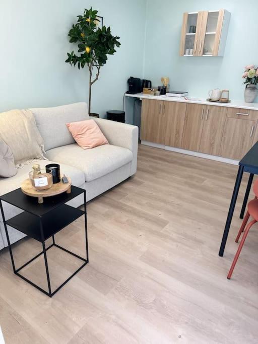 Wellness Studio Tiel Met Sauna En Jacuzzi Exteriér fotografie